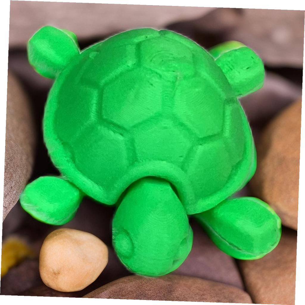 Turtle