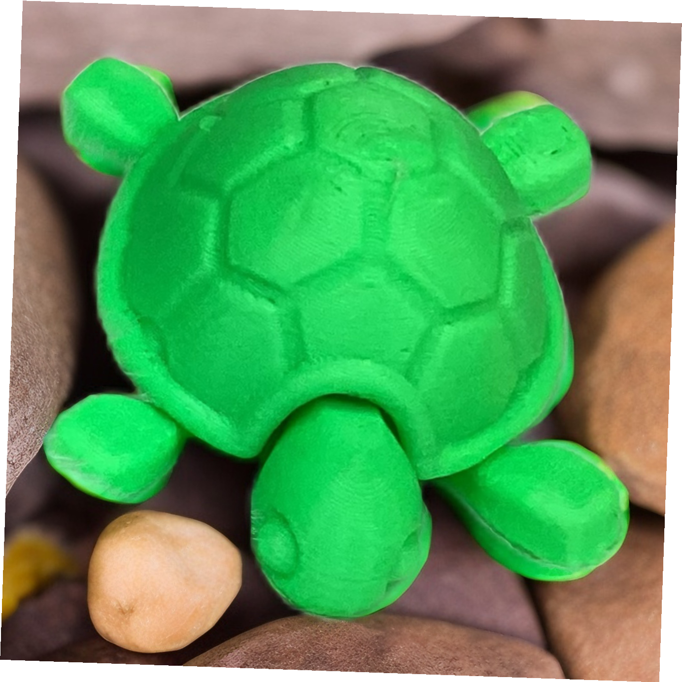 Turtle